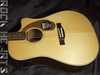 Fender SCE 2.jpg